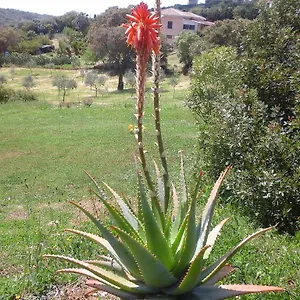 Valverde Di Naitana Rita Guest house